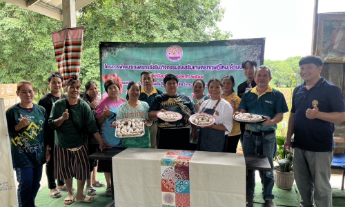 โครงการส่งเสริมและสร้างทักษะในการประกอบอาชีพ ทั้งในและนอกภาคเกษตร  (เกษตรทฤษฎีใหม่)