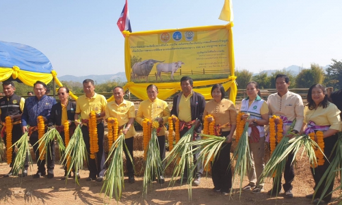 จังหวัดเลย จัดพิธีมอบกรรมสิทธิ์และไถ่ชีวิตโค-กระบือ เฉลิมพระเกียรติพระบาทสมเด็จพระเจ้าอยู่หัว เนื่องในโอกาสพระราชพิธีมหามงคล เฉลิมพระชนมพรรษา 6 รอบ 28 กรกฎาคม 2567